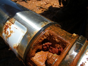 Pump inlet with iron bacteria build-up